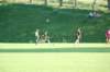 dsc_0010_small.jpg