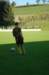 dsc_0022_small.jpg