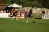 dsc_0030_small.jpg