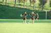 dsc_0050_small.jpg