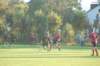 dsc_0095_small.jpg