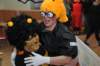 dsc_1906_small.jpg
