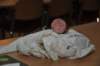 dsc_1991_small.jpg