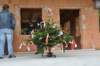 dsc_1194_small.jpg