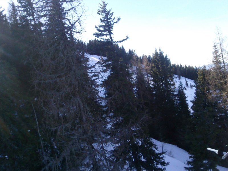 foto0069.jpg