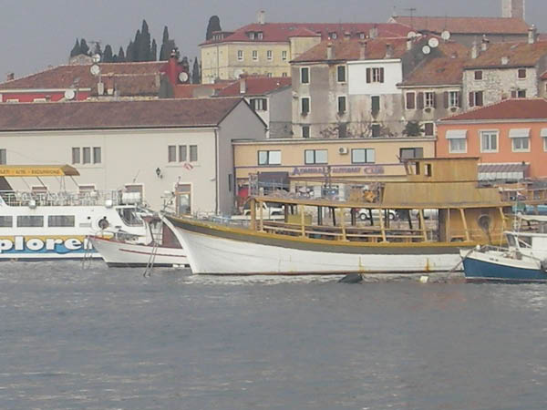 SANY0091