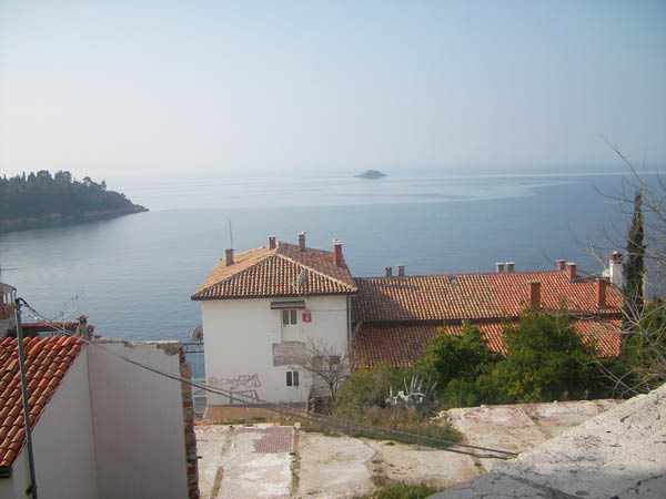 SANY0116