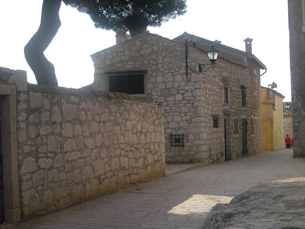 SANY0126