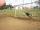 SANY0068