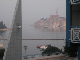 SANY0147