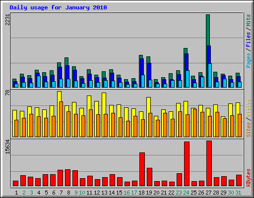 Daily usage for January 2010