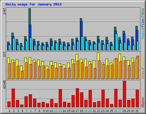 Daily usage for January 2013