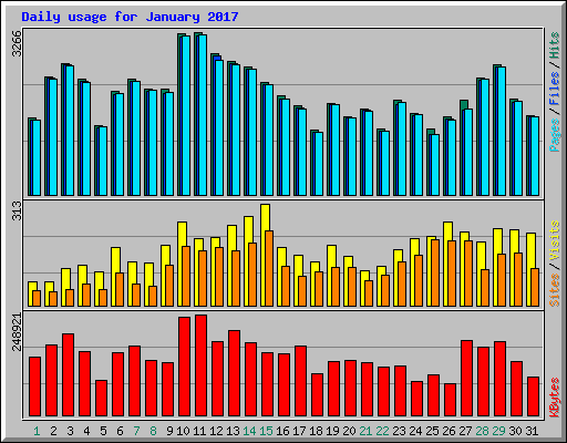 Daily usage for January 2017