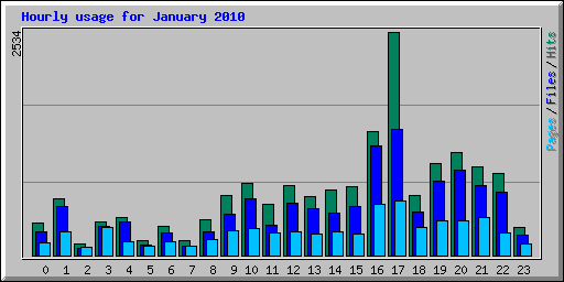 Hourly usage for January 2010