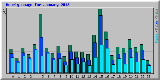 Hourly usage for January 2013