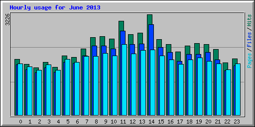 Hourly usage for June 2013