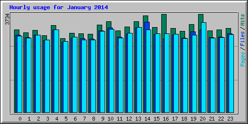 Hourly usage for January 2014