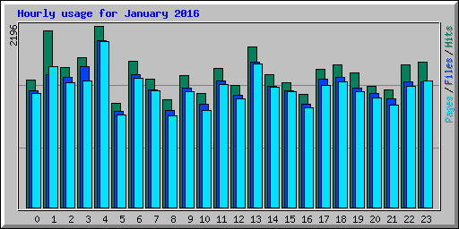 Hourly usage for January 2016