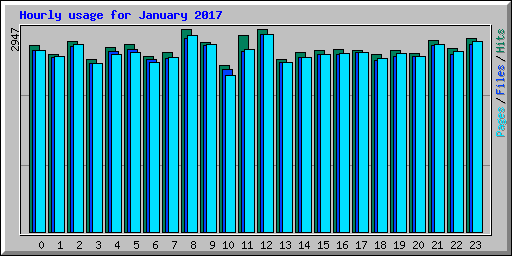 Hourly usage for January 2017