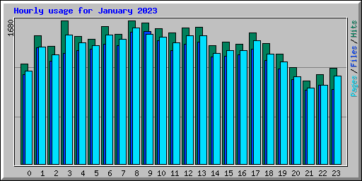 Hourly usage for January 2023