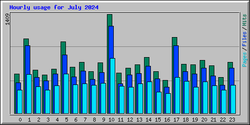 Hourly usage for July 2024