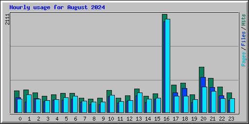 Hourly usage for August 2024