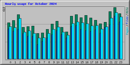 Hourly usage for October 2024