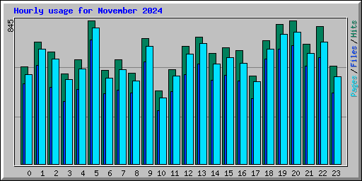 Hourly usage for November 2024