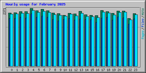 Hourly usage for February 2025