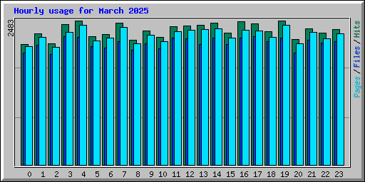 Hourly usage for March 2025