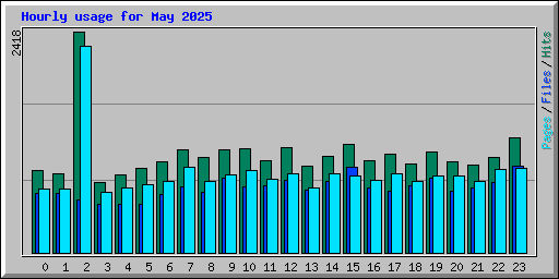 Hourly usage for May 2025