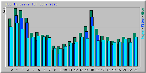Hourly usage for June 2025