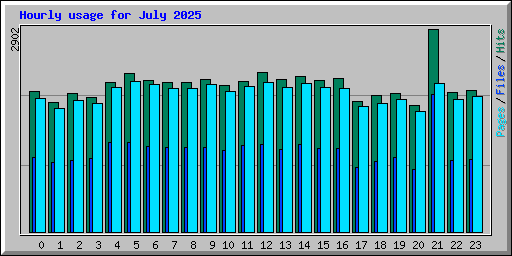 Hourly usage for July 2025