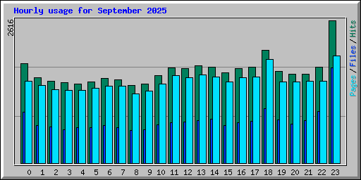 Hourly usage for September 2025