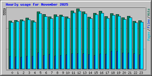 Hourly usage for November 2025