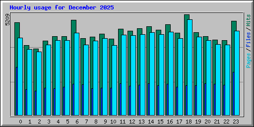 Hourly usage for December 2025