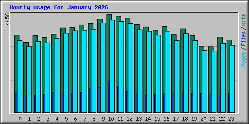 Hourly usage for January 2026
