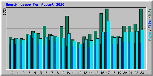 Hourly usage for August 2026